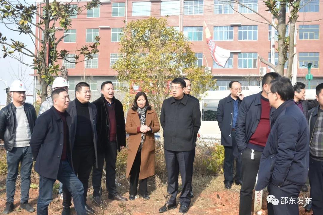 邵东市委书记沈志定调度城区三所学校建设 