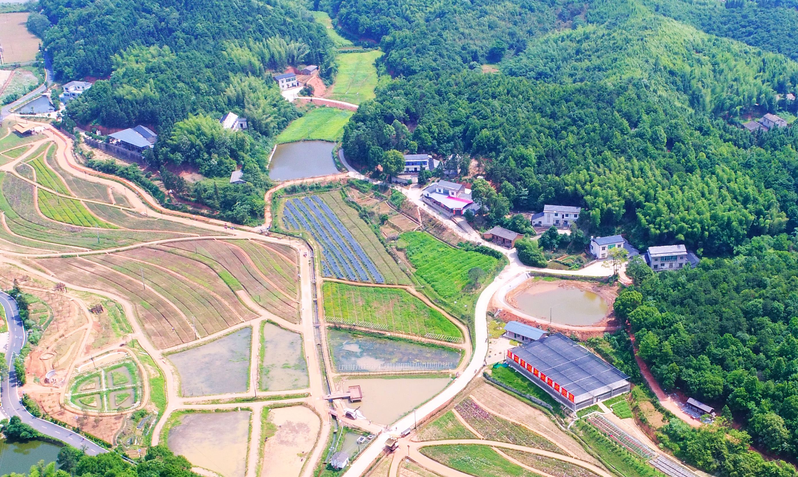 响水村又双叒叕出名了——“中国美丽休闲乡村”   还是全市的“独苗”