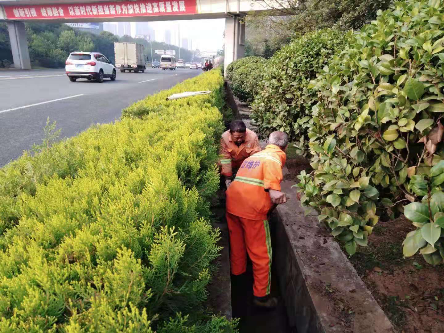 天元市政：找差距 提标准 市政管养水平大提升