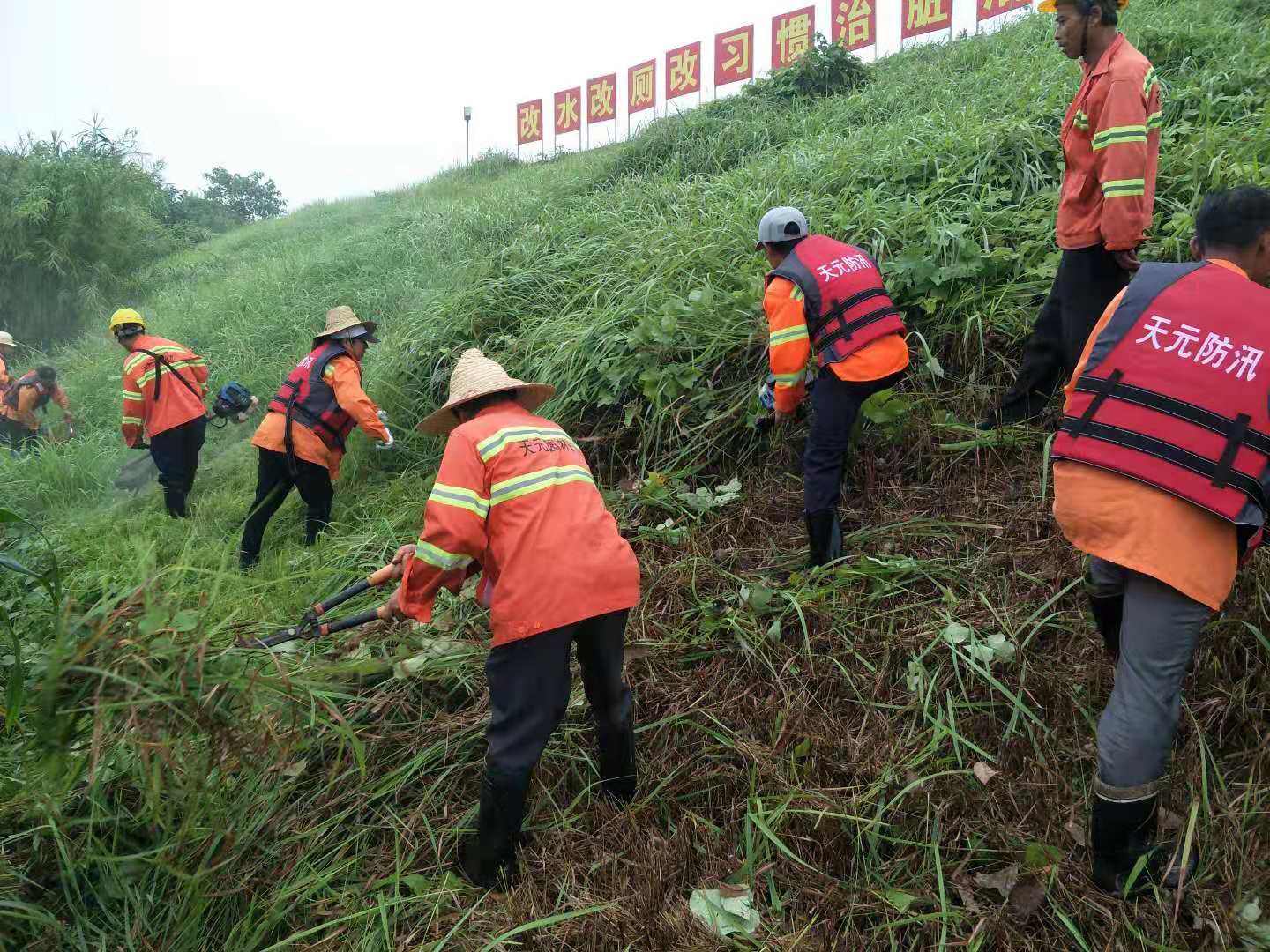 80余名园林工人清理河堤草