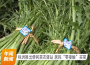 湖南衛視 | 株洲推出便民菜農驛站 居民“零接觸”買菜
