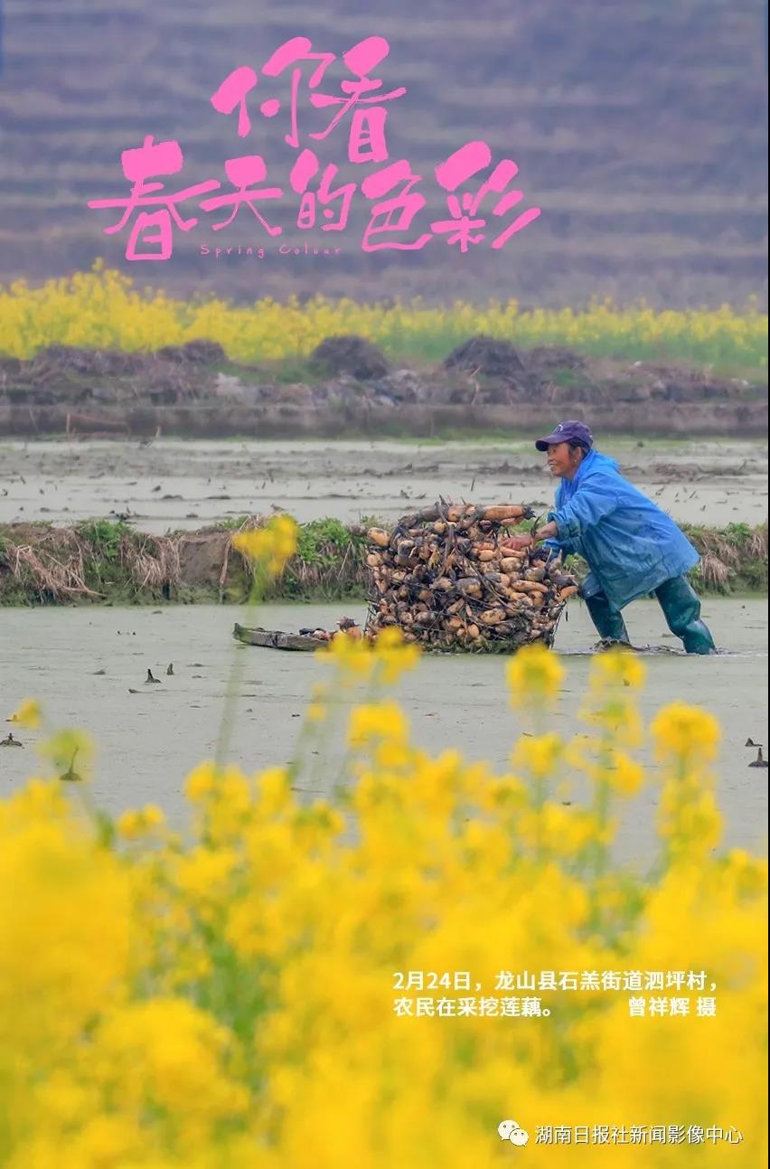 你看，春天的色彩