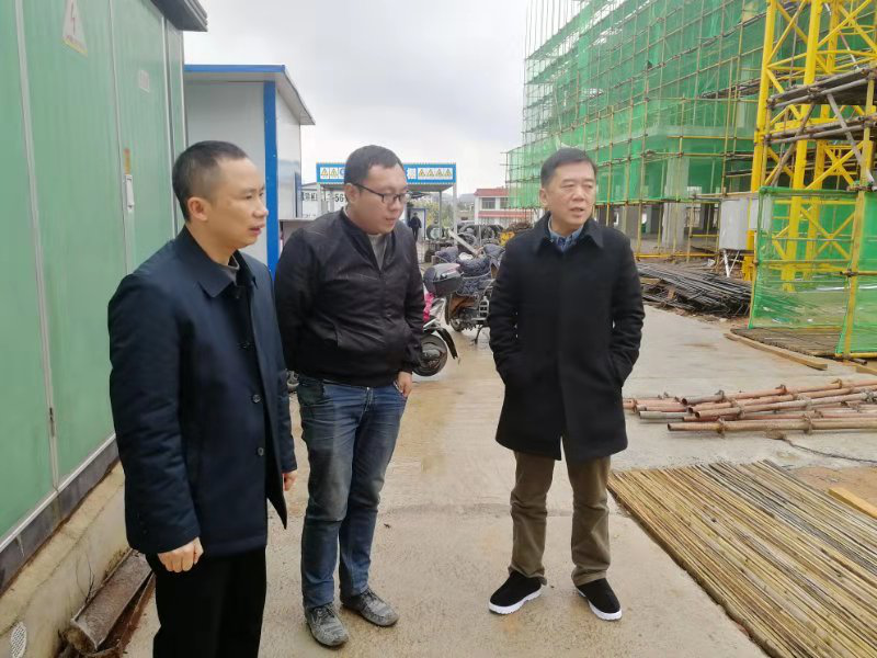 区领导督查卫健系统安全生产工作