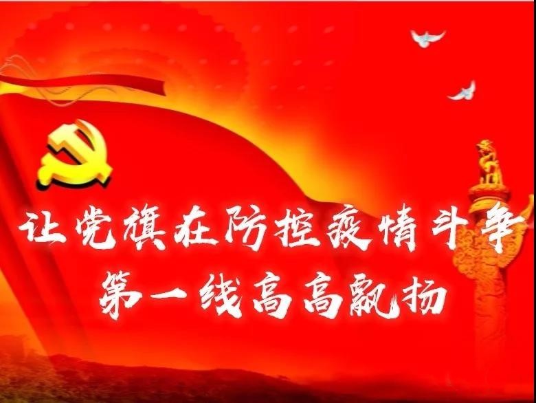 【疫情防控】疫情防控 陈家桥乡党员在行动！