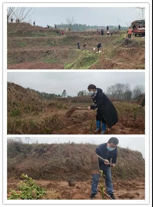 茶元头街道：又到一年春耕时 防疫生产“两手抓”