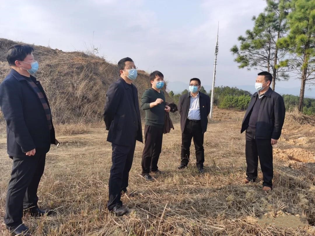 抢抓天气时节 助建生态北塔