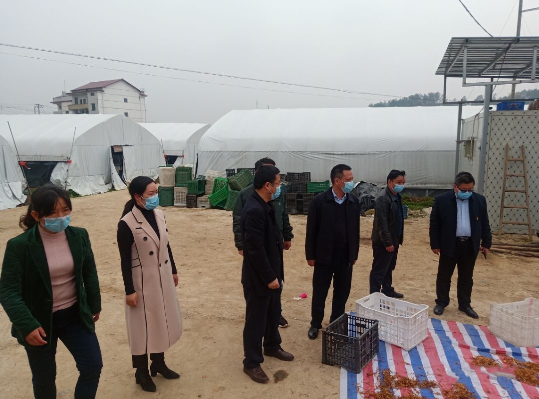疫情防控不放手 脱贫攻坚稳步走