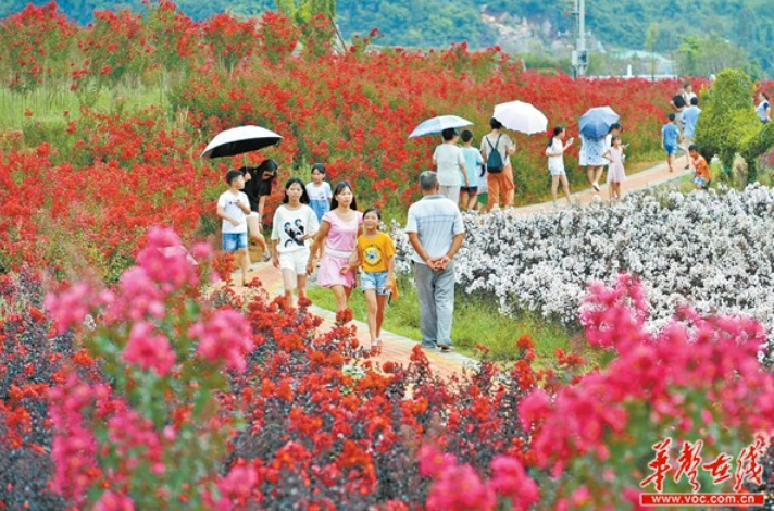 紫薇花开迎宾客 郴州秋季旅游节在临武开幕