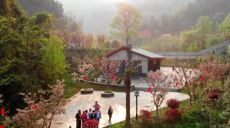 西瑶绿谷获评“湖南2019年夏季避暑旅游胜地”