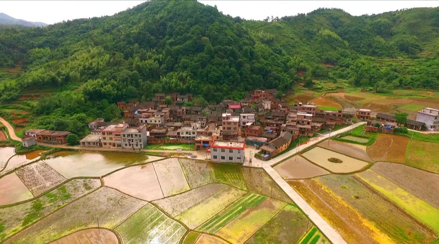 不忘初心 牢记使命•身边的榜样：  欧爱国：一名村支书28年的初心守护