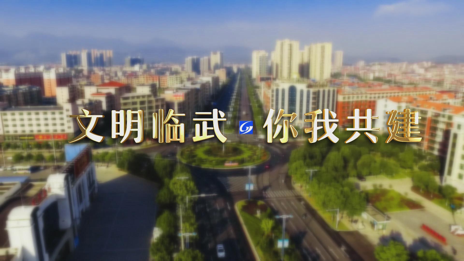 公益广告｜文明临武 你我共建