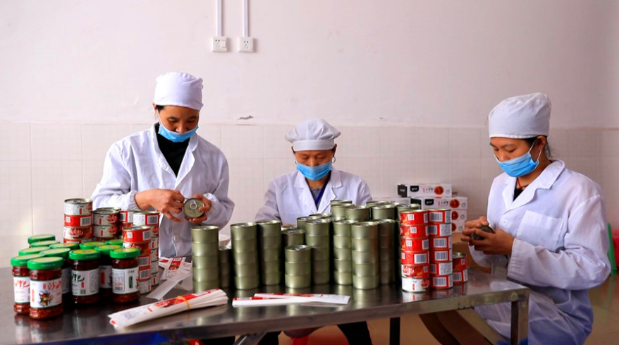 农产品质量安全行：临武的“绿色旋律”