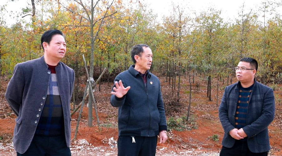 ​香花镇：代表联络站解决群众操心事、烦心事、揪心事