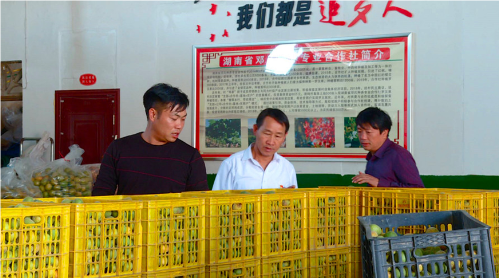 【代表风采】 邓圣武:一心为民的“支书代表”