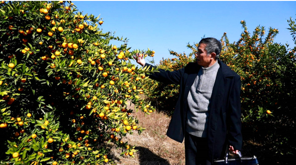 【代表风采】 邓新强：坚守“为民代言”初心38载