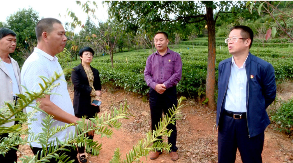 【不忘初心、牢记使命·主题教育进行时】 县政协：“六进六促”深化主题教育开展