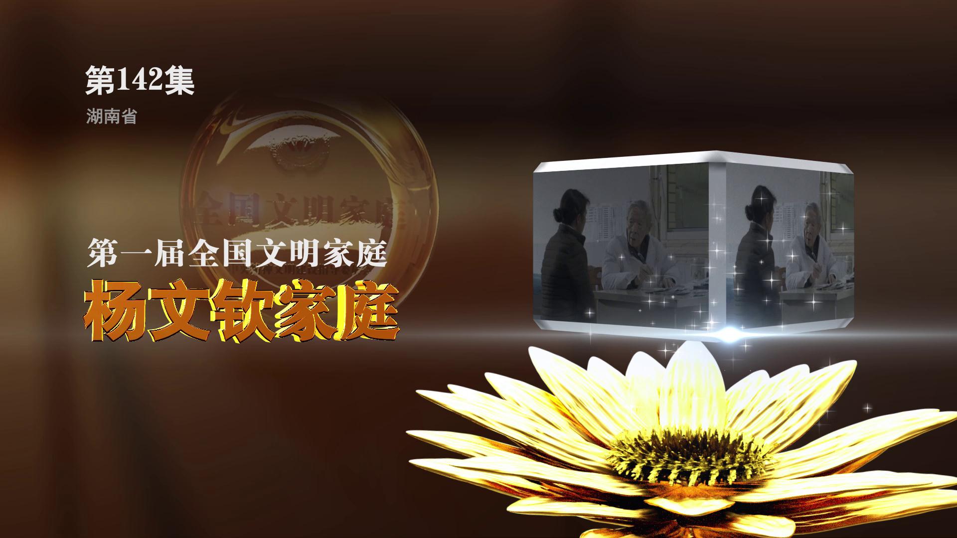 全国文明家庭 杨文钦