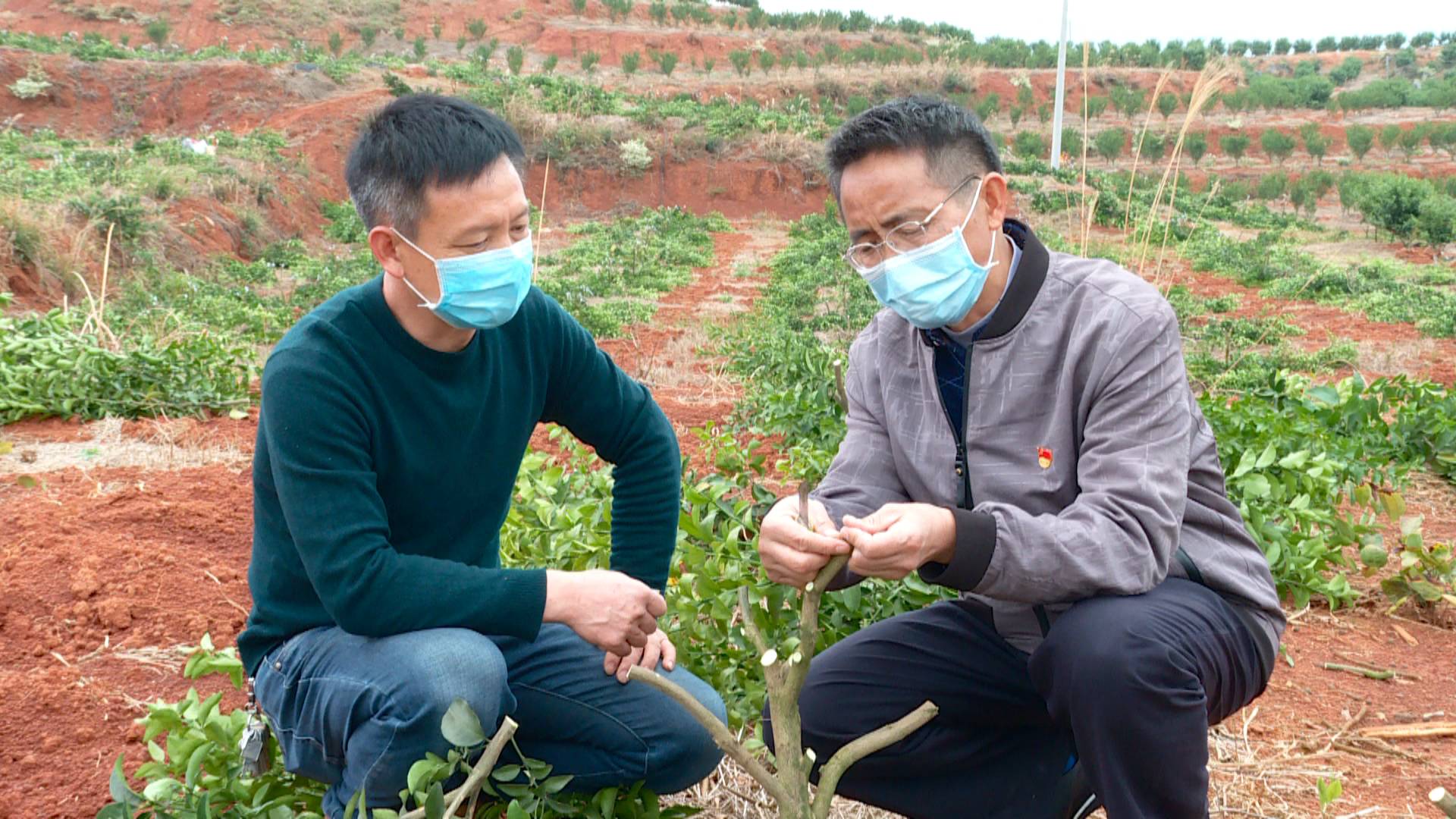 #信息化助农行动#【两手抓 双胜利】科技特派员送技术下乡助力春耕备耕
