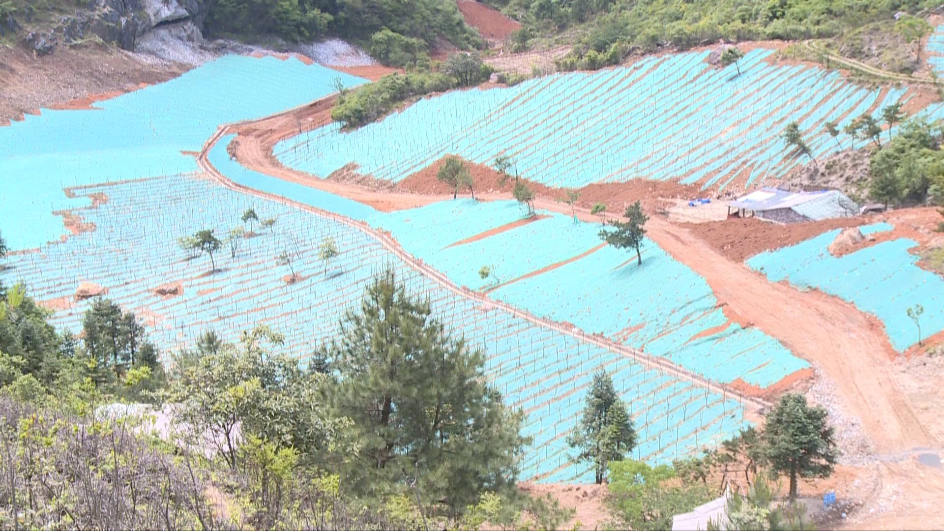 【三湘风纪网】临武县：跟踪监督惠民项目 护航乡村振兴