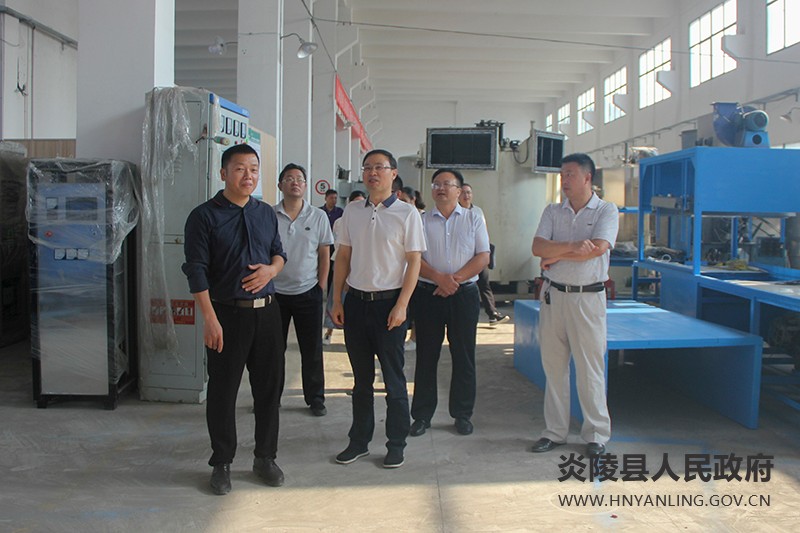 文专文到中国博友纳米集团调研产业项目建设