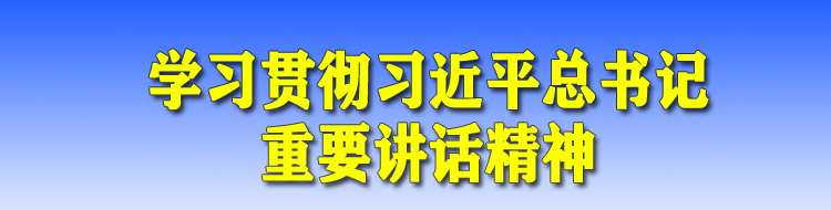 学习贯彻习近平总书记重要讲话精神