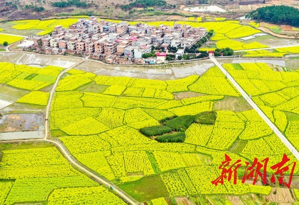抢抓时节忙春耕 稳住农业基本盘