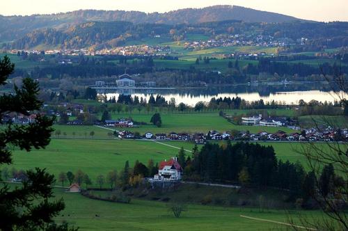 【抗“疫”时评】写就农村抗“疫”最美画面