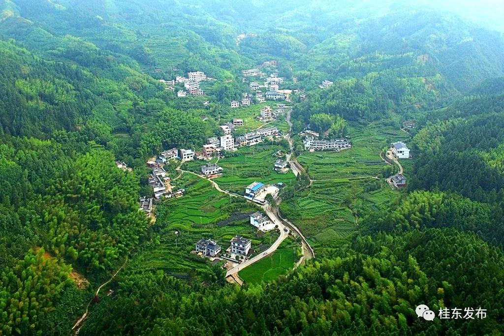 桂东发布