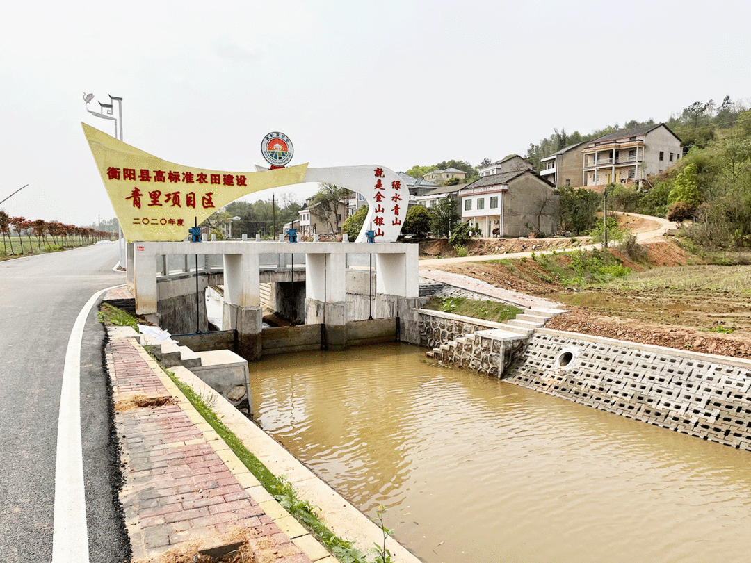 西渡镇:乡村振兴有亮点,砥砺奋进新时代