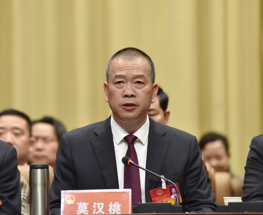 区委书记 莫汉桃