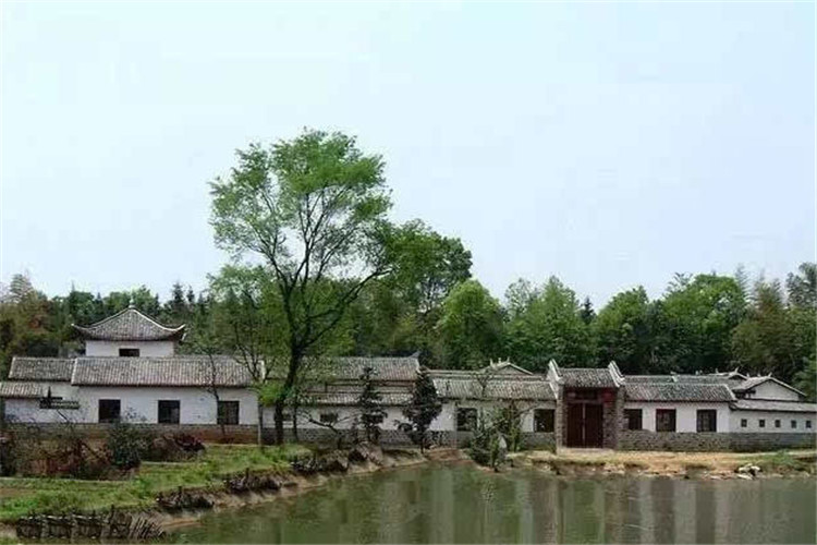 永兴县樟树镇获评第三季度全市十大“洁净乡镇”