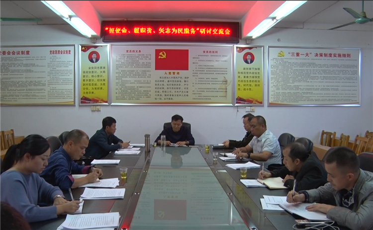 “不忘初心、牢记使命”主题教育进行时|永兴县金龟镇：主题教育调研成果转化为高质量发展对策
