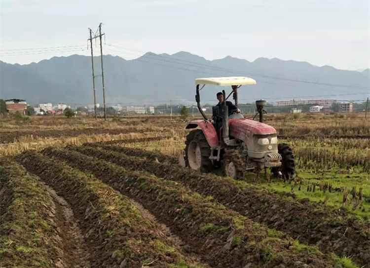 永兴县鲤鱼塘镇：以示范户助推烤烟产业提质增效
