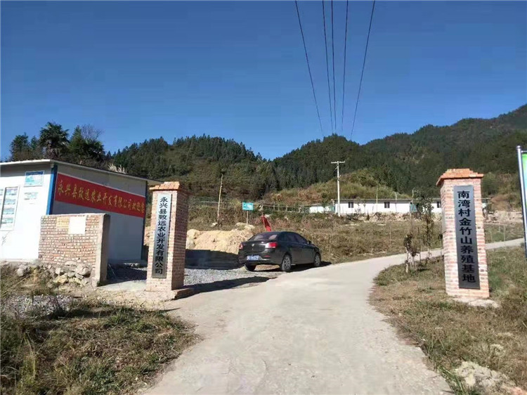 永兴县七甲乡南湾村:培育三大产业, 助力脱贫攻坚