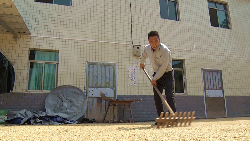 【我的名字叫建国】雷建国：国家惠农政策好 农民生活乐悠悠