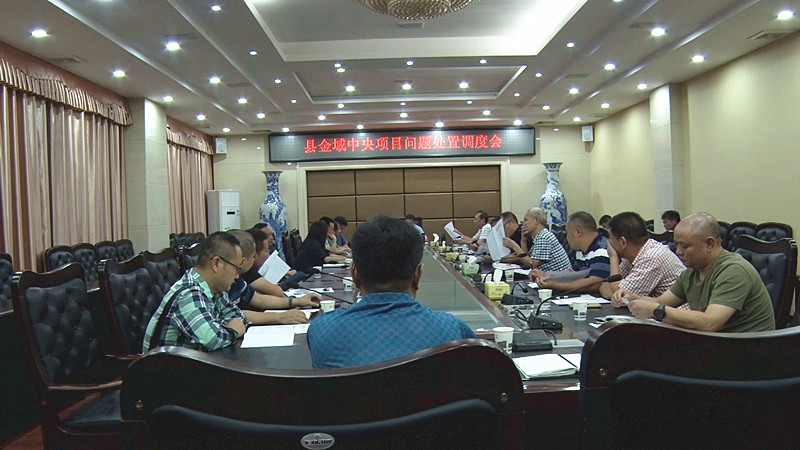 我县召开金域中央项目问题处置调度会