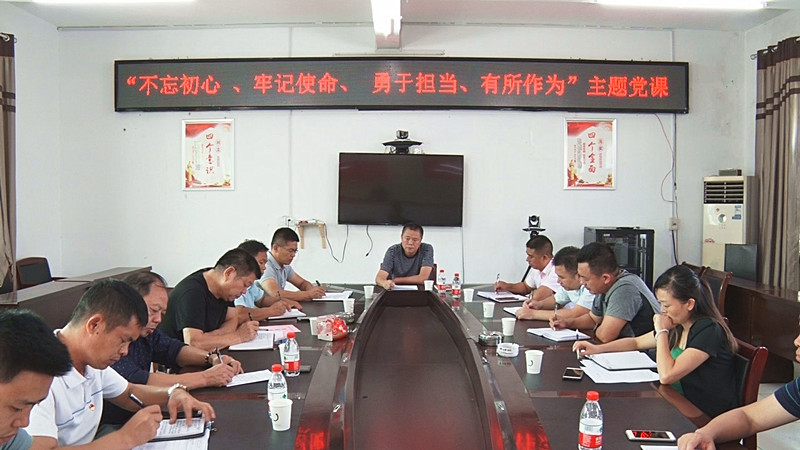 【不忘初心  牢记使命】县领导到太和镇上党课