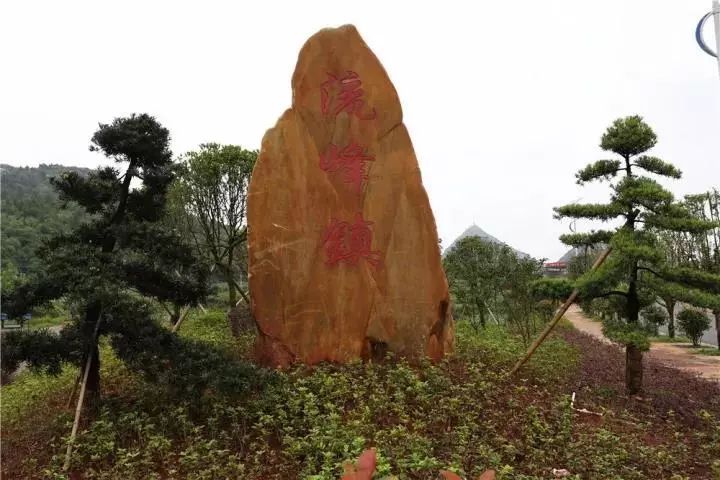 流峰镇流市居委会：网线背后转型升级的别样印记