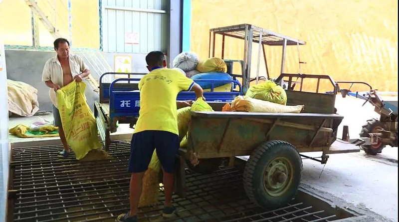 稻谷烘烤机占C位  成村里新“网红”