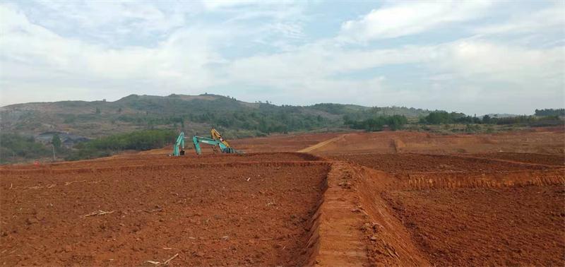 桂阳这个村庄让千亩旱田变水田