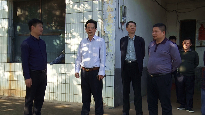 市安全生产环境保护特别督查组到我县督查森林防火工作
