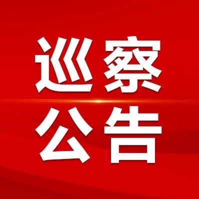 中共十二届桂阳县委第九轮巡察公告