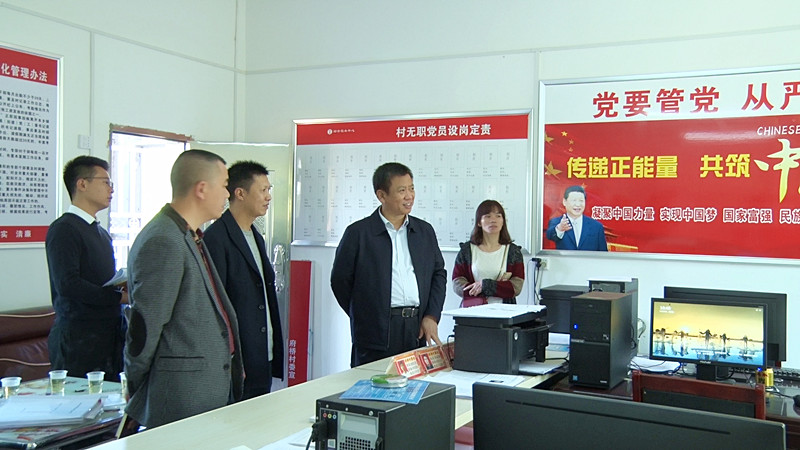 彭生智调研指导基层党建和脱贫攻坚工作：发挥党员先锋模范作用  精准精细做好脱贫攻坚各项工作