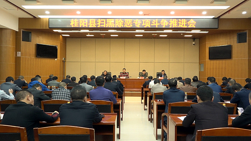 我县召开扫黑除恶专项斗争推进会