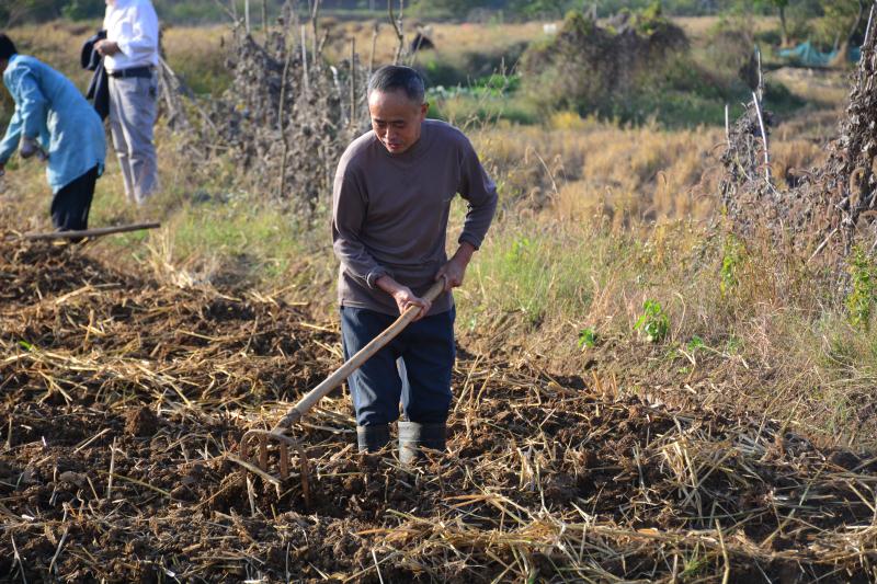 党建共创 “贷”出美好新生活