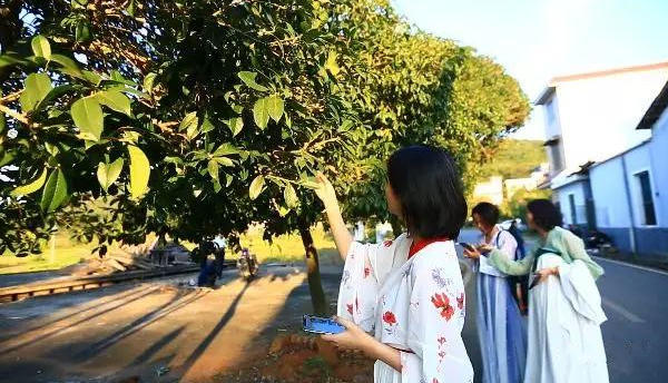 冬日桂花飘香入食，这里有一份甜蜜之旅！