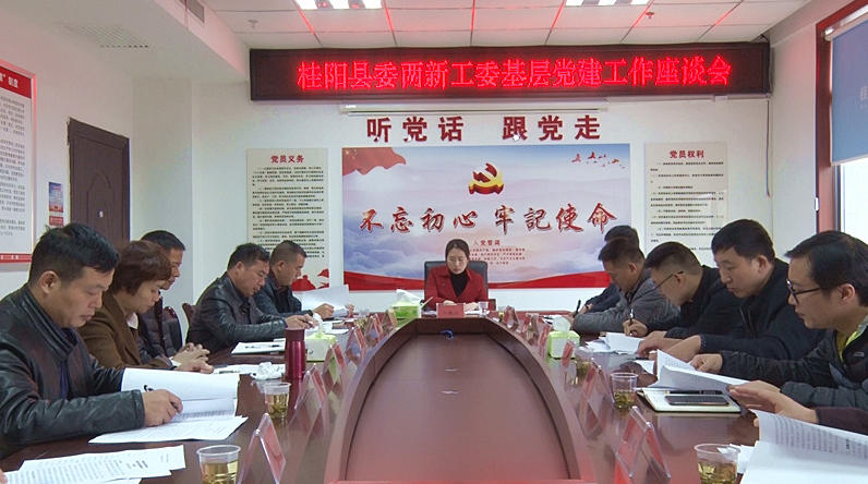 我县召开县委两新工委基层党建工作座谈会