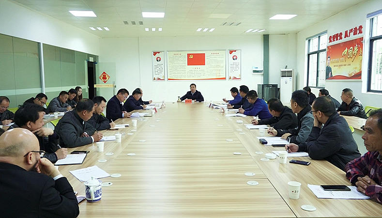 彭生智调研园区产业项目建设工作：加快推进建设进度 确保如期投产达效