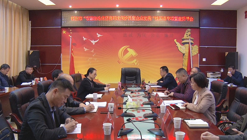 市督查组“营造法治化营商环境保护民营企业发展“桂阳专项督查反馈会召开