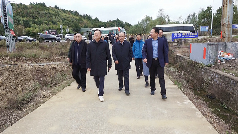 省政府副秘书长易佳良来我县调研烟叶产业工作